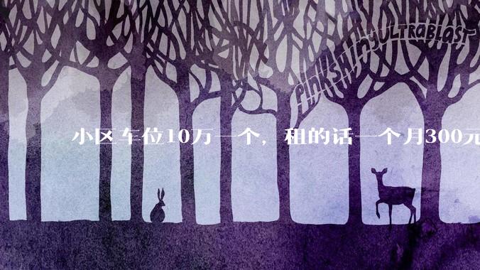 小区车位10万一个，租的话一个月300元，还有必要买车位吗？
